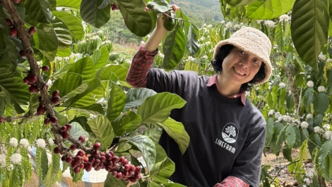 Lâm Đồng rề ơnàng bă ù tam kơphê niam bơkah uă 