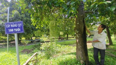 CHÔ TẦM VU MOỌNG LÊY 2 T’NƠƠM MĂNG CỤT ĐANH LÂH 100 C’MOO