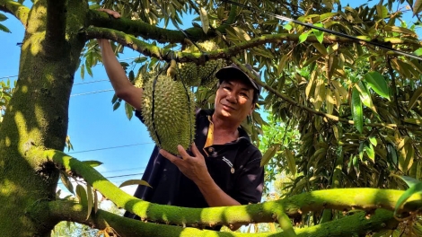 ពត៌មាន ម៉ោង​ ៦