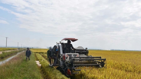 Yan mdiê ksă kñĭ ti Ayun Hạ