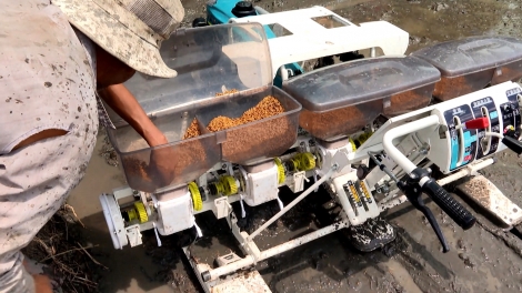 កសិករខ្មែរចូលចិត្តទម្រង់ស្រូវគុណភាពខ្ពស់និងបំភាយឧស្ម័នទាប។