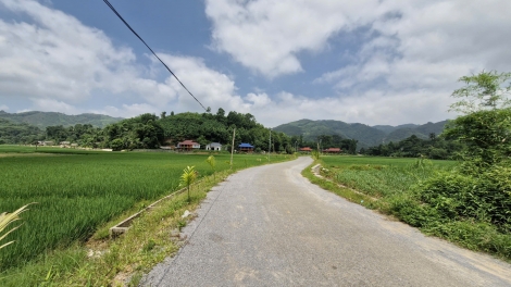 TỐI MẤƯ DÚ BẠI BẢN CỎN CÚA LÀO CAI