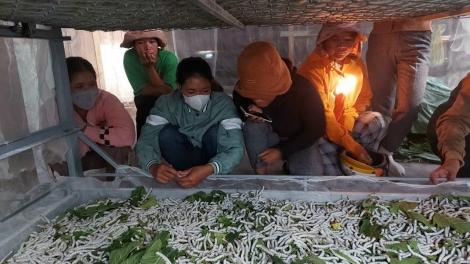 Dôm pơkao ‘lơ̆ng kơ pơlei pơla K’Ho