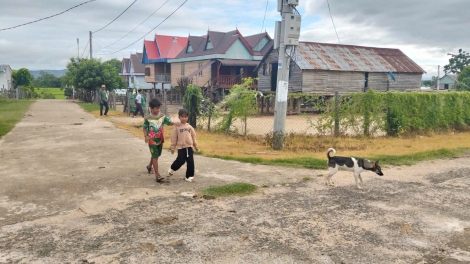 Kual ngă hơkrŭ Plơi Pông jing anih bơngač man pơdong plơi pla phrâo