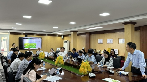 គ្រប់គ្រងស្មៅស្រង៉ែនៅតាមវាលស្រែក្នុងតំបន់ដីសណ្ដទន្លេគឺវឡុង។