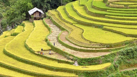 Cêr lov jêv hnuz ciêz 26-10-2025