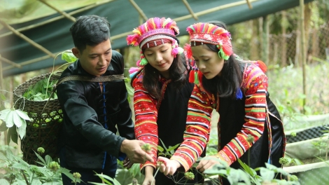 Ngon tô thứ 4 mự 22 căm bườn 10 pì 2025: LUÔNG TOI CHỰA CÁNH PÚK SẦM LAI CHÂU