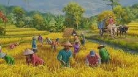 Bài ca Nông dân Việt Nam