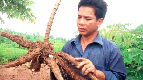 XANG BÊL ĐHARỰT NĂC DƯR K’VAN TU CHOH ARONG COH ZR’LỤ K’NOONG K’TIÊC