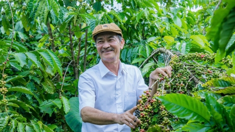 Thái hnê chư hiăng pơtê hriâm ƀă troăng prôk chiâng kuăn pơlê pêi chiâk deăng rơkê Việt Nam