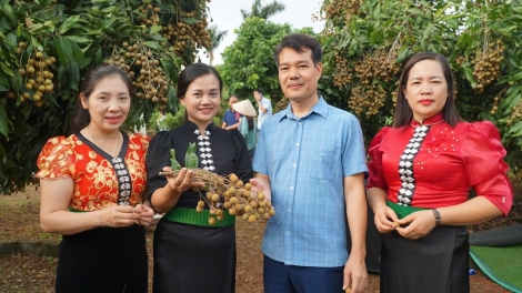 Ngon tô thứ 6 mự 31 căm bườn 10 pì 2025: Sơn La tọp hòm pưng luông pùn chấp năm Nghị quyết Đại hội Đảng bộ tỉnh