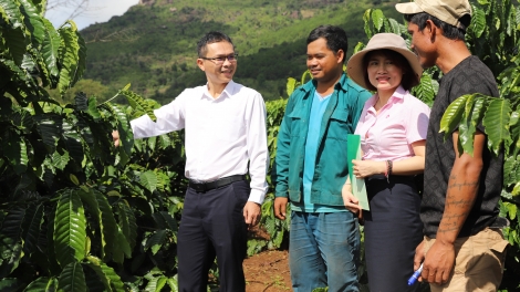 Liăn mung tŏng gum, “ivá mơnhông” hluăn ing kơtiê dêi kuăn pơlê Gia Lai