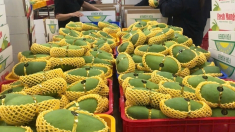 ពត៌មាន ម៉ោង ១៥