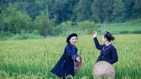 CHƯƠNG TRÌNH KHAY HENG TÀY- NÙNG (Thứ 7, vằn 22/11/2025)