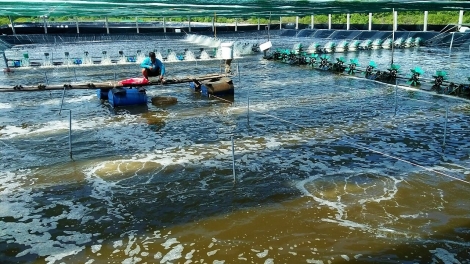  ក្រុមហ៊ុនឲ្យកម្រៃ៥០% កសិករស្នើរដ្ឋអំណាចគ្រប់គ្រងតម្លៃសម្ភារកសិកម្ម។