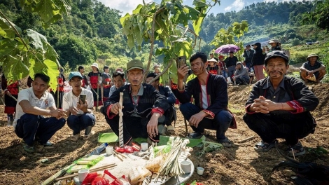 LẸ CHẢI BẢN CÚA CẦN PHÙ LÁ DÚ SLẢNH ĐIỆN BIÊN
