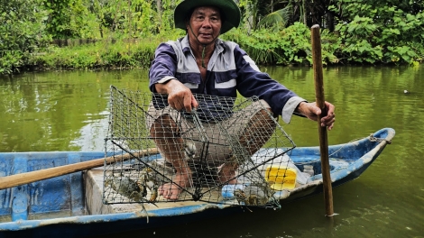 ប្រសិទ្ធភាពនៃគំរូបង្គា-អង្ករសម្រេចបានវិញ្ញាបនបត្រ BAP
