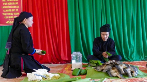 CỎ LẺ KIN KHẨU MẤƯ CÚA CẦN LA CHÍ