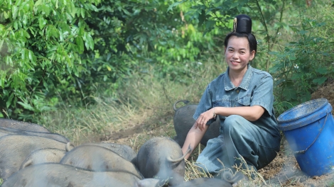 Úi tùng chiaz tẩy pung, làn nhiếu miền chàn Thái miền tzỏn tuz 500 tzỉu nhàn 1 hiáng