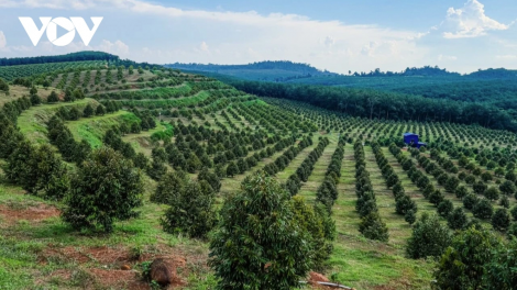DONG NAI KUHRIA IEK GLANG URANG BANGSA TAKIK 