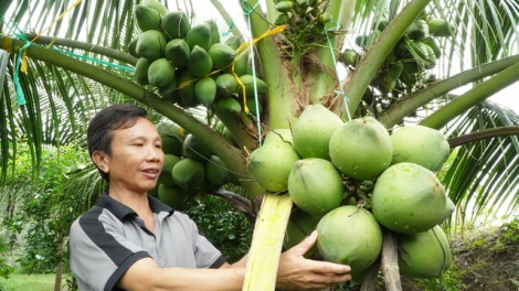 URANG NGAK NONG GAH PEI NEGAR PALA PHUN LI-U BIAR TABIAK RILO BAOH