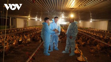 NGAK NONG ILAMO NGAK KONG PAKAT GLAONG BAN RAYA HO CHI MINH: RAONG MỰC ANGAOK TAMBOK, MENUK “OH BAK RUAK” KUM