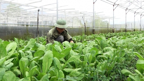 Tsaz yênhx nta suôz luk Hmôngz hmo xiêz 05-11-2025