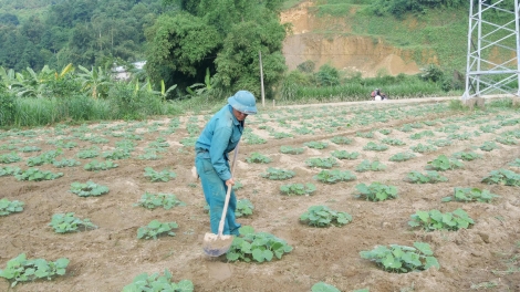 Chương trình phát thanh quam Tay, thứ 3 mự 11 căm bườn 11 pì 2025