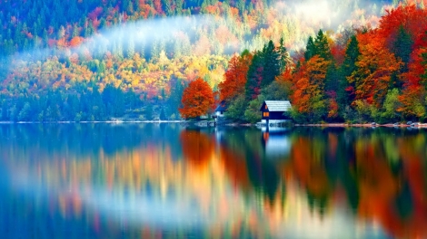 Danak dak sap Cam 01_11_2025