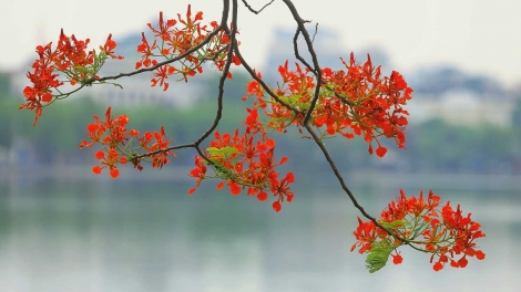 Mong ước kỉ niệm xưa