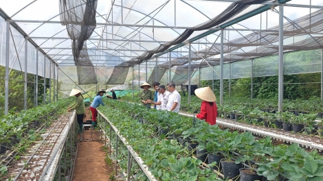 Chường trình phát thanh thứ 6 mự 28 căm bườn 11 pì 2025