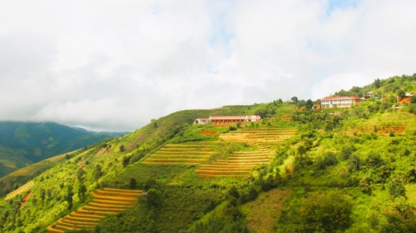 CHƯƠNG TRÌNH KHAY HENG TÀY - NÙNG  (Thứ 2, vằn xo 10/11/2025)