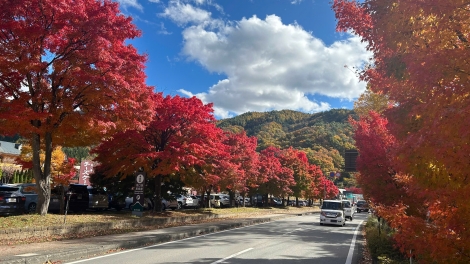 ពត៌មាន​ម៉ោង១៥