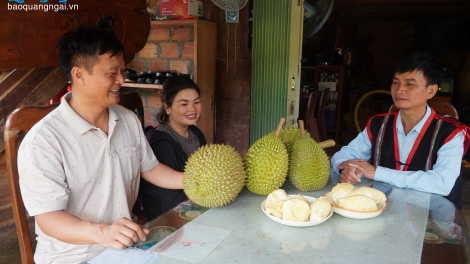 T’COOH BÙI ĐỨC QUỲNH LÂNG BH’RỢ PA DƯR CA VAN ĐHỊ ZR’LỤ CA NOONG K’TIẾC