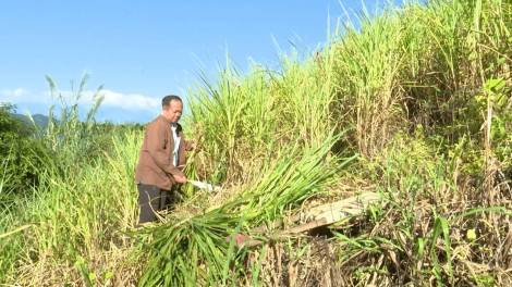 Chường trình phát thanh thứ 3 mự 25 căm bườn 11 pì 2025