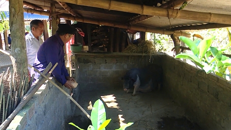 Tsaz yênhx nta suôz luk Hmôngz hmo 25-11-2025