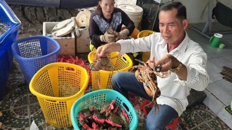 ពត៌មាន ម៉ោង​ ៦