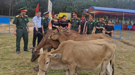  Lu gru hmô mtrŭt mjhar, đru čung ba mnuih ƀuôn sang mbruă bi mguôp leh ai ktang lĭng kahan – mnuih ƀuôn sang ti Gia Lai