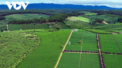 LÂM ĐỒNG – ĐHỊ TA BHRỢ BHIỆC BHAN TRÀ BHA LANG K’TIẾC 2025