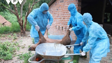 KHÁNH HOÀ BHRỢ K’RƠ G’LUH ZÊL CHA GROONG PR’LUH PA ZRUAH A’ỌC CHÂU PHI LÂNG CÚM A’TƯCH A’ĐHA