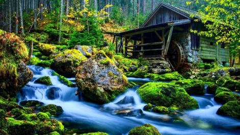 Danak dak sap Cam 15_11_2025