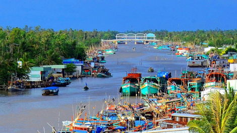 CA MAU: PATAGOK BRUK LEK TAKA GILAI IKAN PIAH SAHANG PASANG IEK SIAM LAGAIH JANG