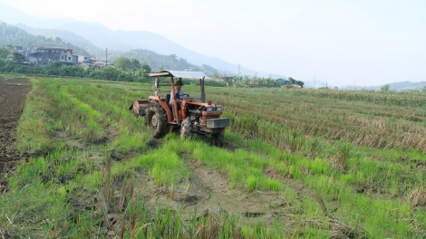 Ngon tô thứ 4 mự 12 căm bườn 11 pì 2025: Khù po hay me na cận hụ số 11