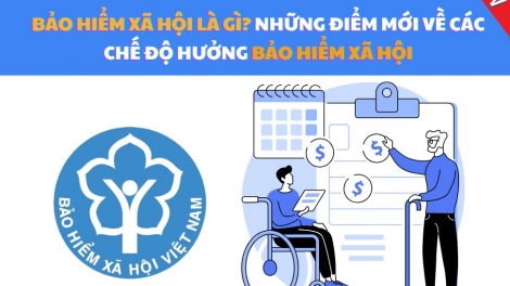 Lầy tzình phát sinh ìu miền vả thứ 4 hnoi 19/11/2025