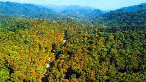 Lầy tzình cunz xiêuz kếu phát hiáng kềm