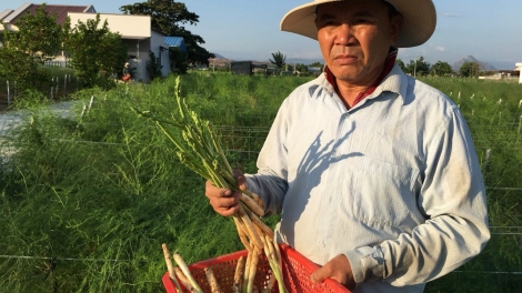 BRUK NGAK DI HTX DALAM BRUK PADANG NGAK PALEI PALA BAHRAU