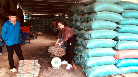 Làn nhiếu miền hội viên cành tzuống miền bez ừu miền tzấu pút tzòi ziêm mô hình hiàng thzun tổng hợp tzỏn tuz nhàn tzìn thamz