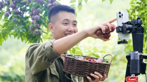  Ngon tô thứ 2 mự 3 căm bườn 11 pì 2025 – Sờn Là cọm pày xú nen nồng nghiệp tàng mắư, tet tiêng té nhại chiên số