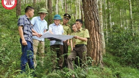 Lầy tzình cunz xiêuz khzáo xiêuz mảng kềm