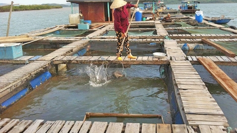 Ngon tô thứ 6 mự 7 căm bườn 11 pì 2025 – Chự phong bệnh hẳư tồ pà cuồng dan phạ đìn nhại mua